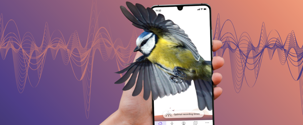 2024-03_Dawn-Chorus-Header_Blaumeise