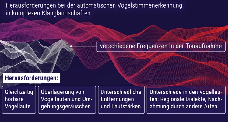 Herausforderungen der automatisierten Vogelstimmenerkennung